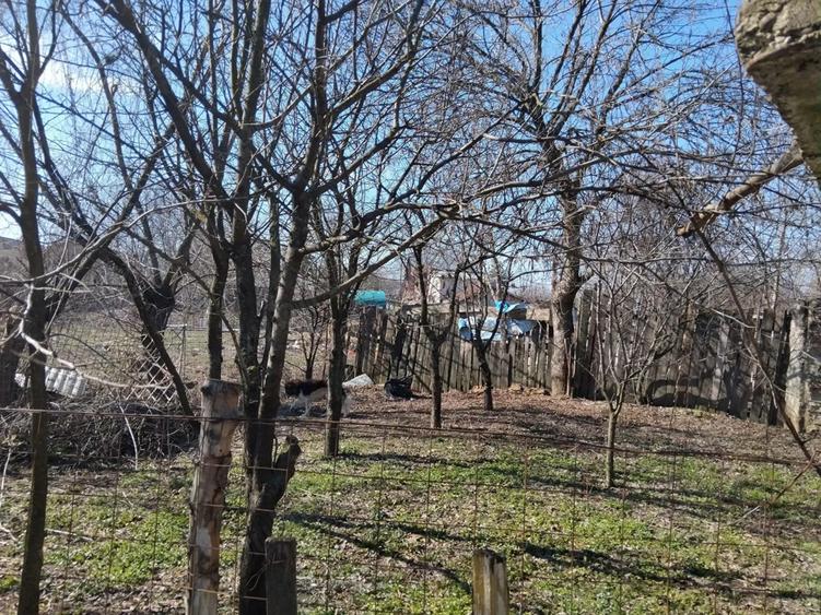 Casa cu 5 camere si teren de 524 mp in Romanesti - 10