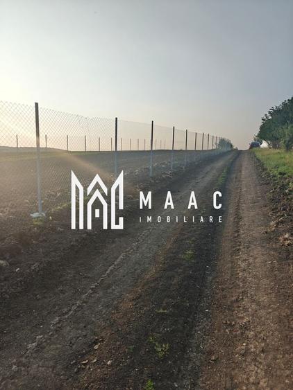 Teren Extravilan 800 mp I Front Stradal 60 m I Sura Mică I Sibiu - 4