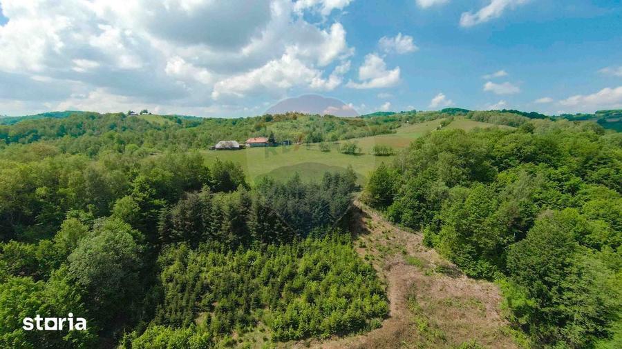 De vanzare casa cu teren ?i padure 55706 mp - ?inteu, Valea Tarnei - 18