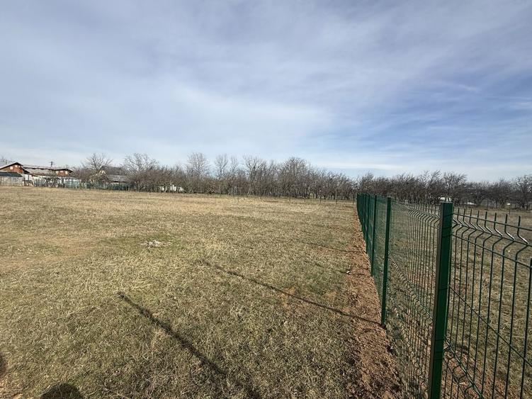 Teren intravilan Baicoi (Tufeni) - 8