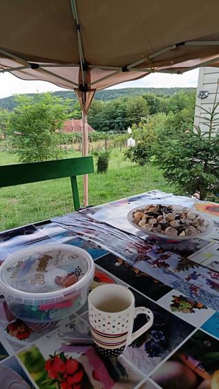 Vind teren intravilan ?i cabana - 7