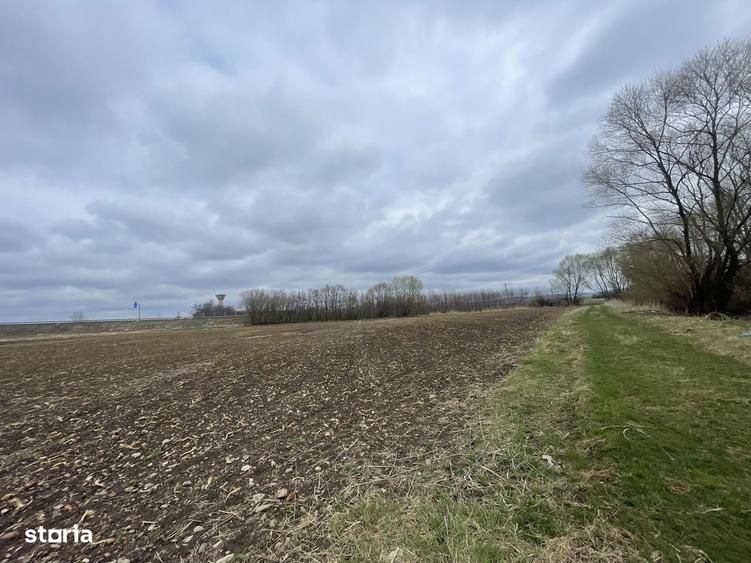 Teren Intravilan | 50 Ari | Zona Periferica Radauti - 5