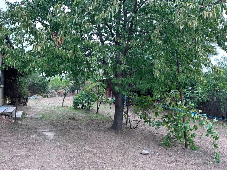 Casa 4 camere înalte, Ialomița, Ciochina, teren 1610 m, - 9