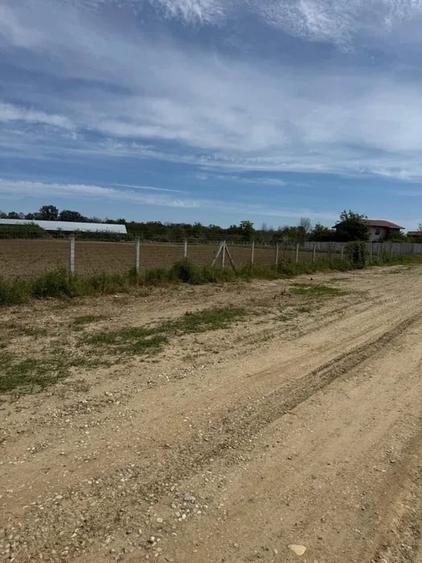 Teren Intravilan | Cornetu  | 6200mp - 2