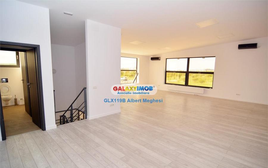 Hala 590 mp Chitila Rudeni- centura - 14