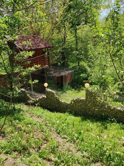 Casa moderna, cu foisor, anexe, gratar, renovata integral, 2100 mp curte livada - 5