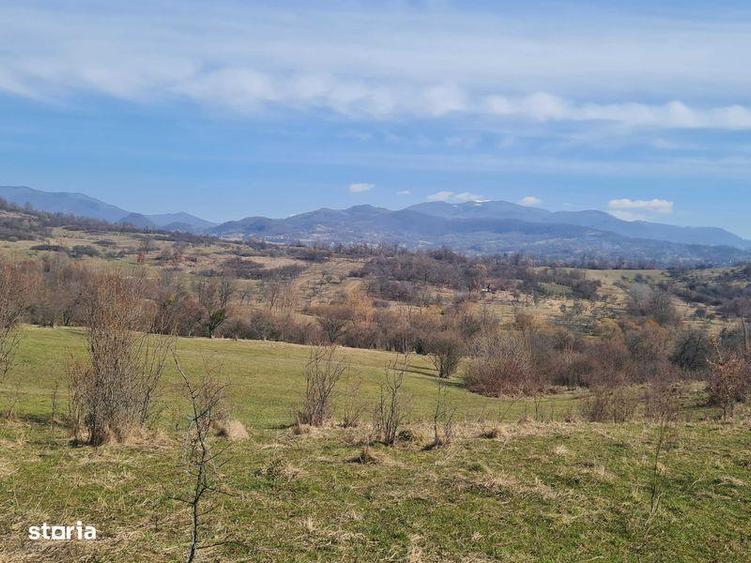 Teren ideal pt cabana , picnic sau casuta de vacanta la 8 km - 3