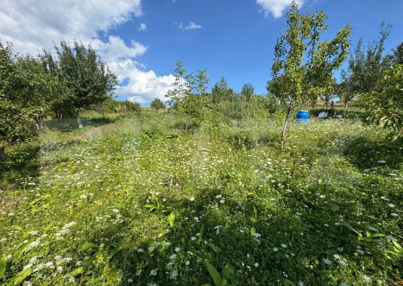 ???? Casa de vanzare in Tarpiu, la doar 10 km de Bistri? - 10