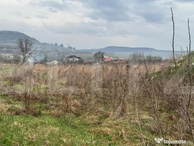 Teren Pentru Constructii 9292 mp- zona Cuzdrioara - 4