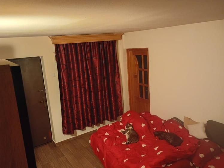 Casa de vanzare+ teren - 8