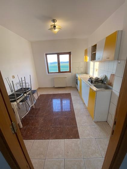 Vila cu 3 apartamente  la parter,etaj  si mansarda - 11