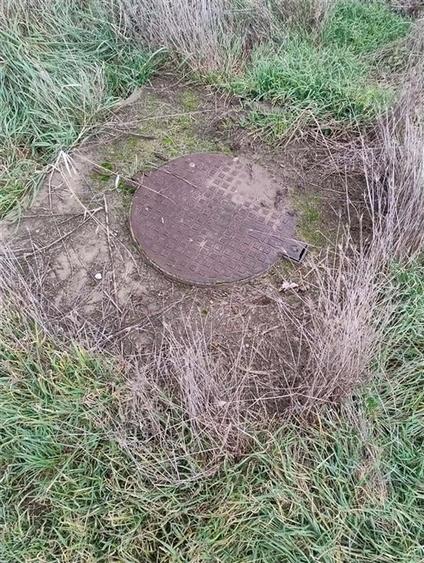 RECO Teren intravilan, Bors - 2