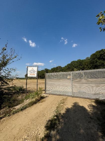 LOT DE VANZARE cu deschidere la padurea Snagov - 1