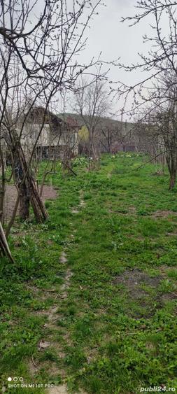 casa in Sprancenata - 6