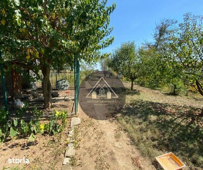 Casă cu 5 camere cu Teren 1100 Mp în Alma