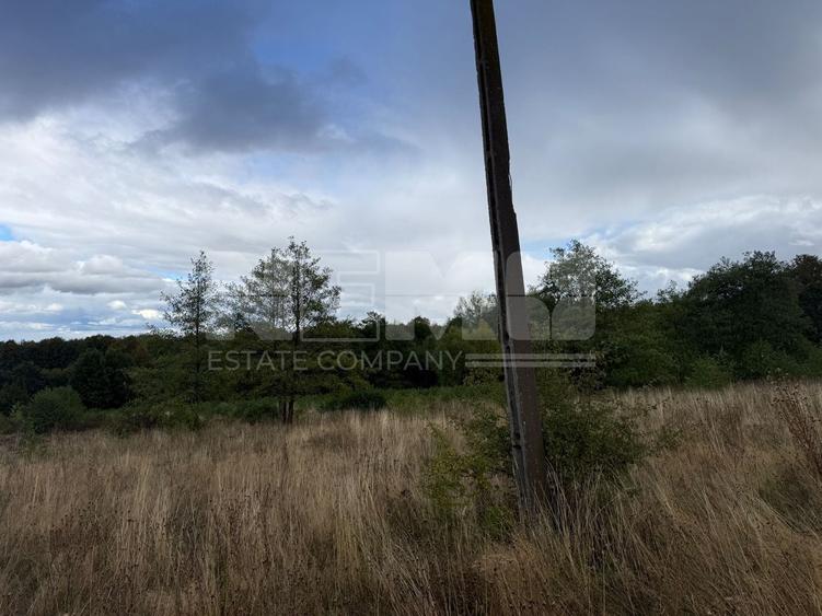 Teren Construcții extravilan de 5000 mp, în Vicovu de Jos