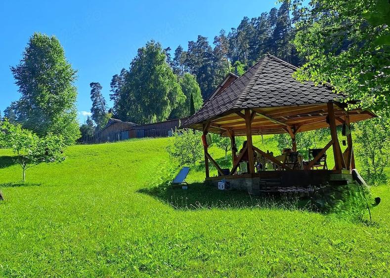 Teren de 2000 mp, în Central