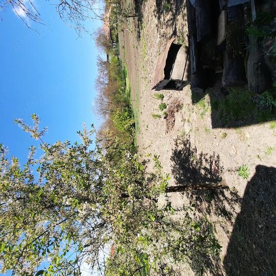Casă cu 3 camere cu Teren 1350 Mp în Sărmașu