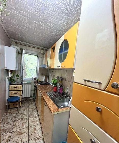 Apartament cu 2 camere semidecomandat, mobilat în Viziru 3