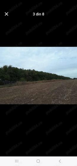 Teren de 400 mp, în Gruiu