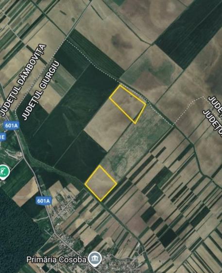 Teren agricol extravilan de 163300 mp, în Cosoba