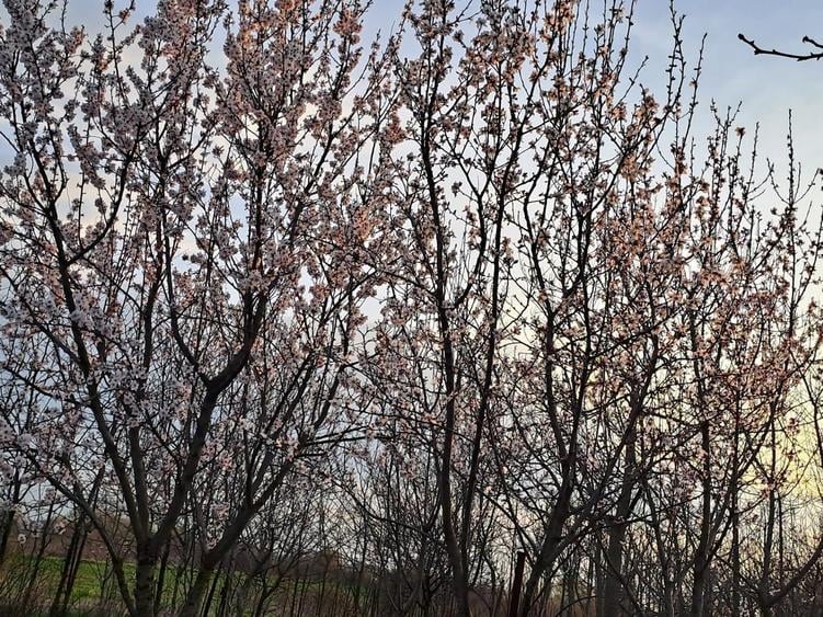 Casă cu 5 camere cu Teren 5600 Mp în Potlogi