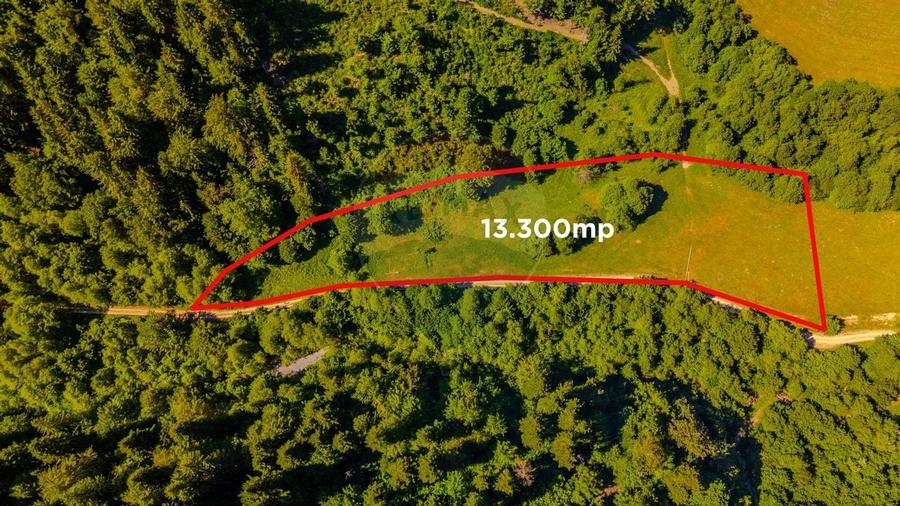 COMISION 0% Teren Bradet 7300 + 6000 mp/ Sacele /Intravilan - 1