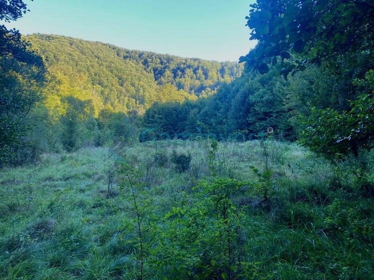 Teren de 1000 mp intravilan,Valea Finisului,Bihor - 1