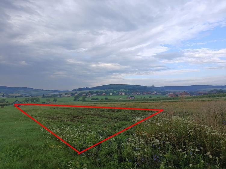 Teren in Salistea Noua - Com Baciu 2458mp - 3