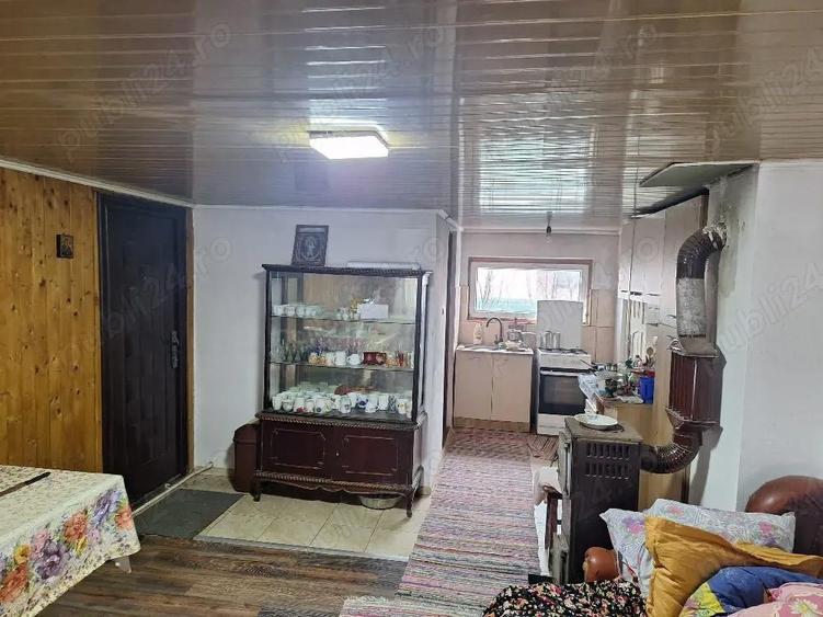 Casa 110 mp + 1000 mp teren Malu Ro?u (Arma?e?ti) 1 ora de Bucure?ti 31.000 - 3