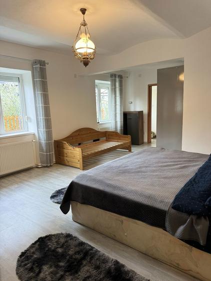 PROPIETAR CENTRU SIBIU NOICA10Apartament 102mp, 3 camere+80m2 curte - 8