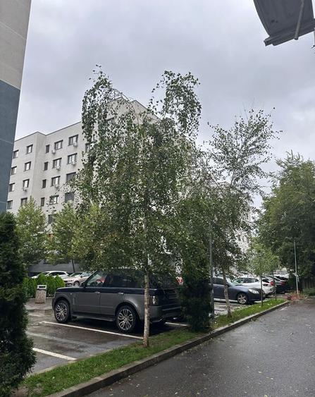 Garsoniera Cavar Brancoveanu. - 5