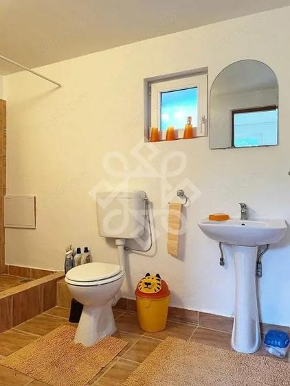 Casa cu teren 2052 mp in Saldabagiu de Munte - 4