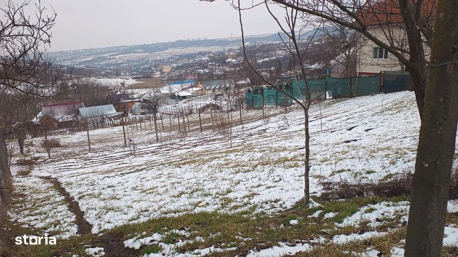 Teren intravilan 704 mp, acces asfaltat, priveliste Padurea Breazu - 2