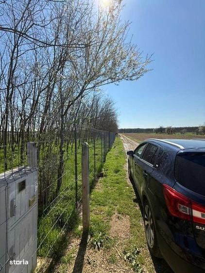 Vand teren intravilan Gruiu-Lipia - 7