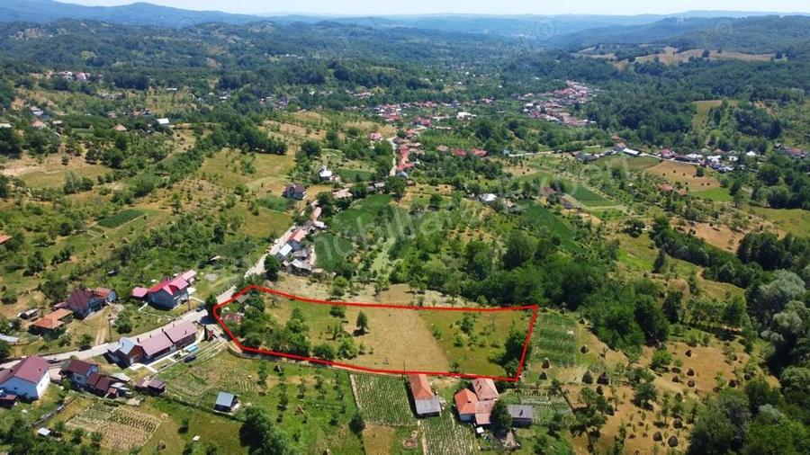 Teren de vanzare in comuna Cicane?ti, sat Bara?ti, jude? Arge?. - 11