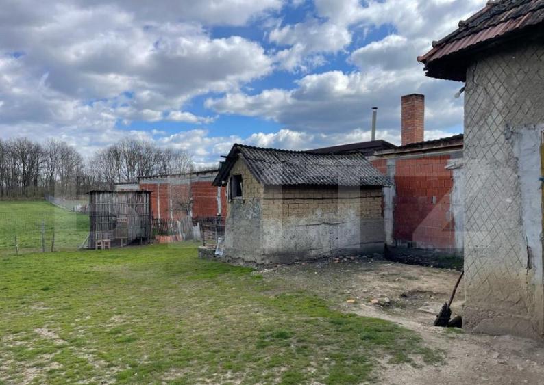 Casa cu 2 camere, 91 mp, teren 3.400 mp, zona comuna Apa - 10