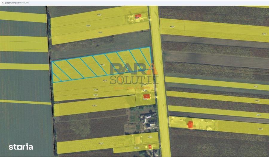 Teren 9969 mp, situat la E85, intre doua intrari pe autostrada A7 - 1