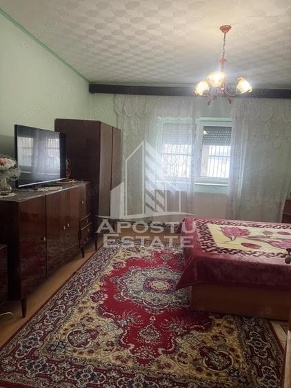 Casa individuala cu teren mare in Remetea Mare - 12