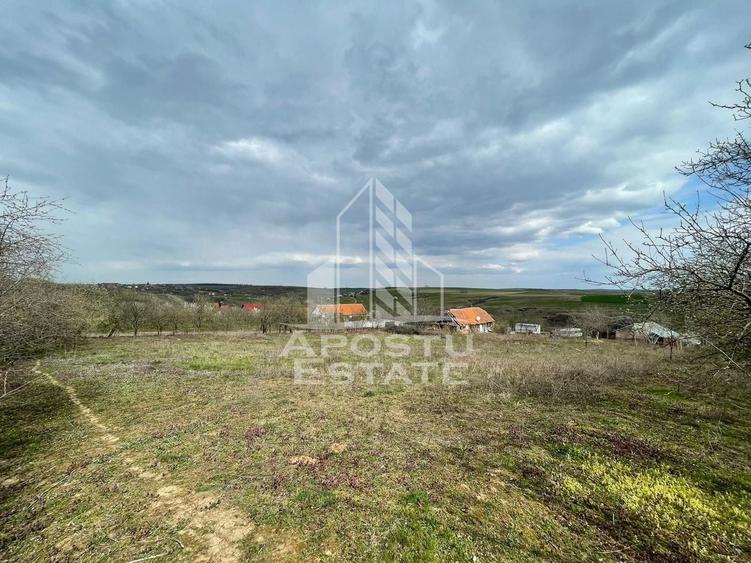 Teren intravilan pentru investitie, 2896 mp, Herneacova Timis - 2