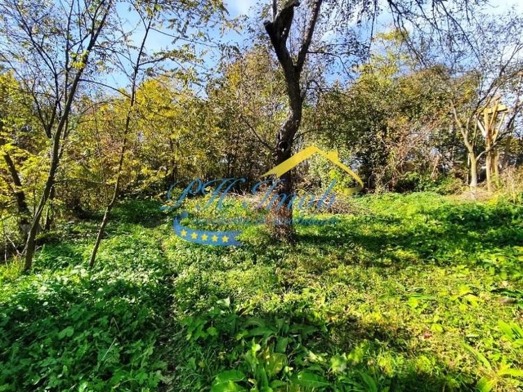 Teren intravilan de vanzare, Provita de Jos - 6