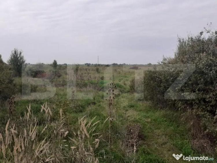 Teren de 39600 mp, PUZ, langa Statia de Epurare - 1