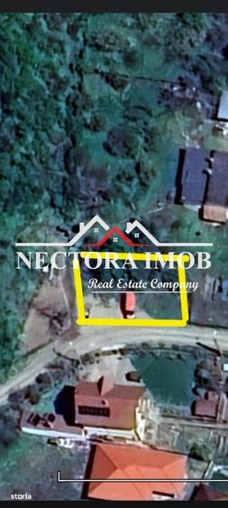 NECTORA IMOB-Teren Intravilan Zona Facliei, Teren Plat,460 mp,F:29 ml - 5