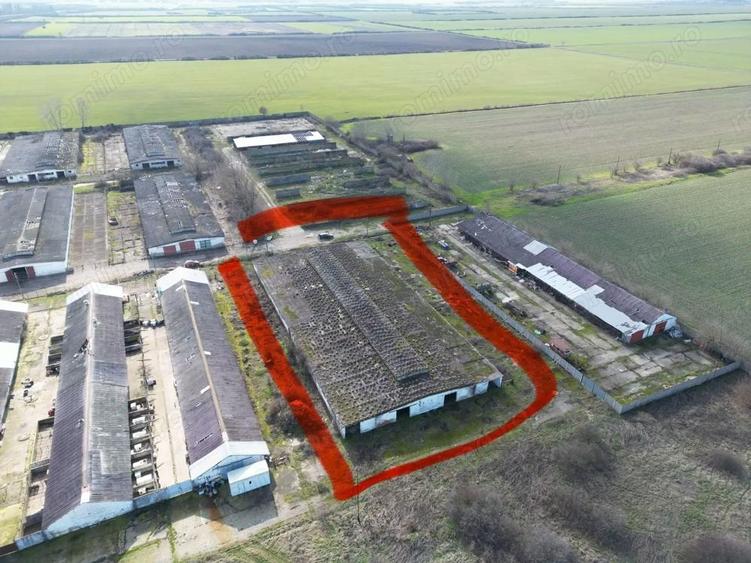 Ansamblu hale 4000mp pe teren 10.000 cu platforma betonata - 2