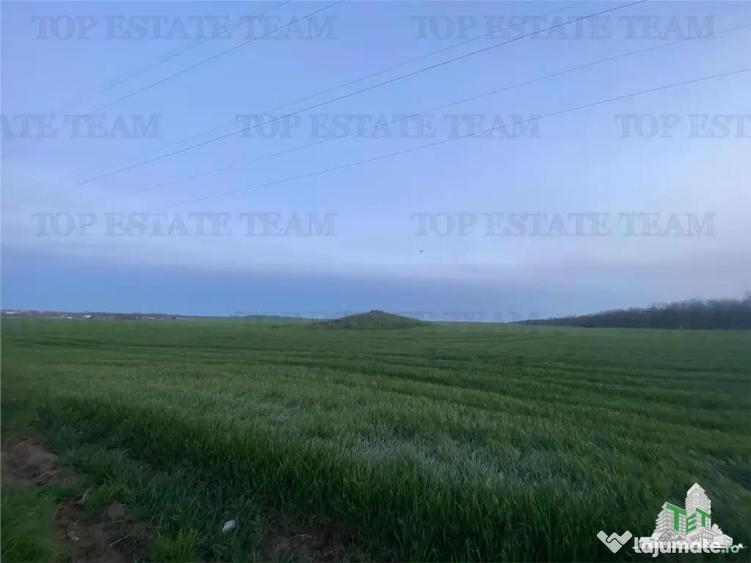 Teren intravilan 15000 mp Costinesti, Constanta - 3