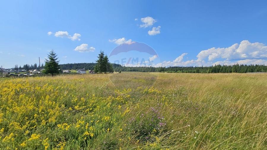 Teren partial intravilan 30,930 mp Poiana Stampei-DN E58, Suceava - 8
