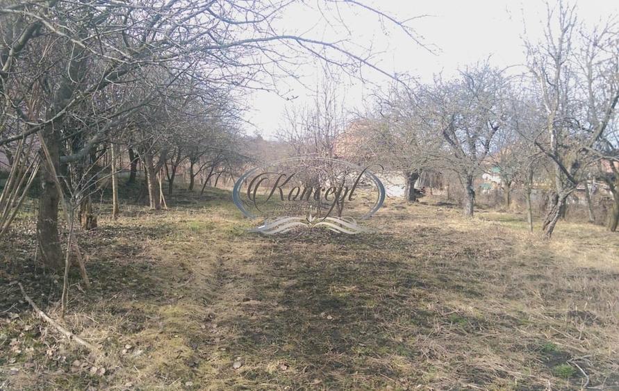 Teren pentru casa sau duplex in sat Gheorgheni - 1