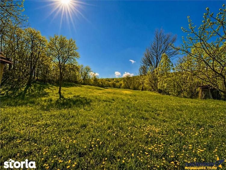 Casa traditionala,zona pitoreasca,domeniu de 3.400 mp,Suveica,Acatari, - 13