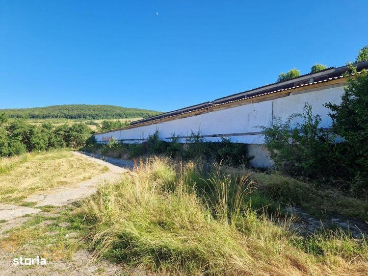 Hala din beton + teren 2.596 mp Jichisu de Jos - 1