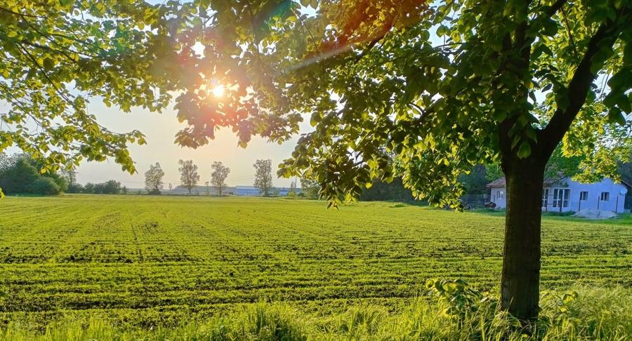 Locuri de casa intr-o comunitate in dezvoltare, aproape de Bucuresti - 2